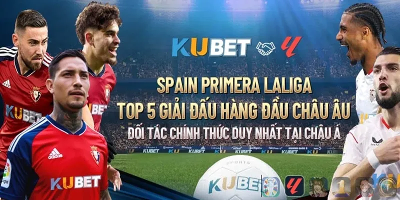 Đại lý KUBET77 được quyền dùng hình ảnh và thông tin của nhà cái